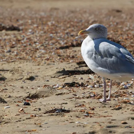 Vakantiehuis Harbourskitchenhouse@sea Bredene