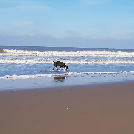 Harbourskitchenhouse@sea Vakantiehuis Bredene