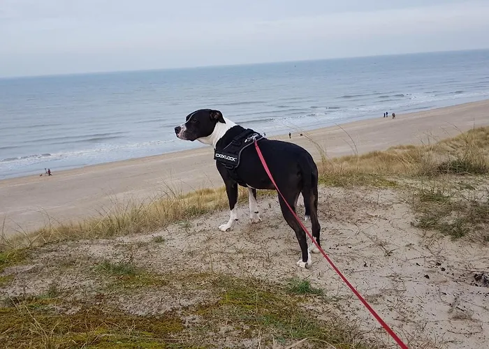 Vakantiehuis Harbourskitchenhouse@sea *